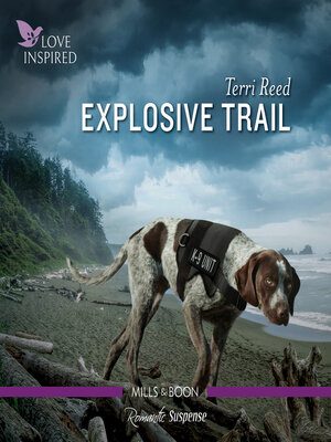 cover image of Explosive Trail